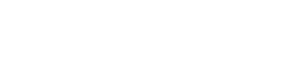 fidiBus Bernau Logo